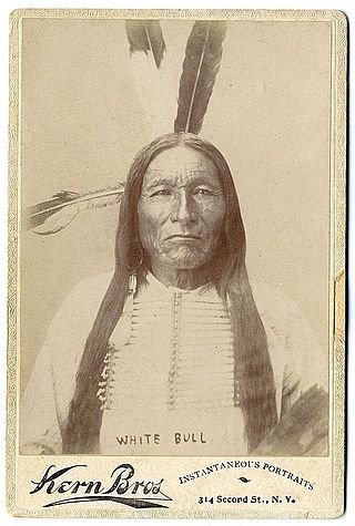 <span class="mw-page-title-main">White Bull</span> Native American warrior and chief