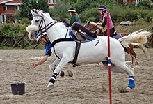 Les disciplines équestres - Equitation - Doctissimo