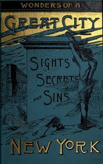 Thumbnail for File:Wonders of a great city - or, The sights, secrets, and sins of New York (IA wondersofgreatci00smit).pdf