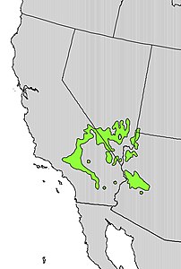 Yucca brevifolia range map.jpg