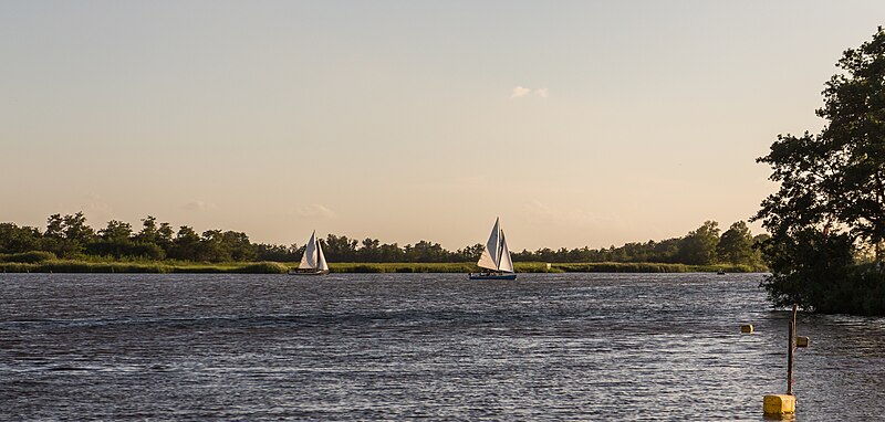 File:Zicht vanaf het water op de Alde Feanen van het It Fryske Gea. Waardevol natuurgebied in Friesland 02.jpg
