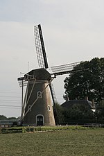 Zoelen - molen De Korenbloem.jpg