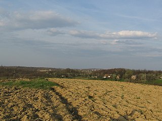 <span class="mw-page-title-main">Gornja Lupljanica</span> Village in Republika Srpska, Bosnia and Herzegovina