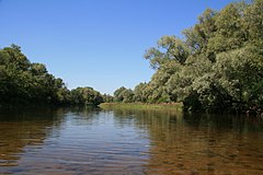 Река днепр океан. Исток реки Днепр. Канев река Днепр. Исток реки Днепр фото. Река Днепр в Смоленской области.