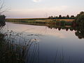 Річка біля міста Хорола, Полтавська область (2008)