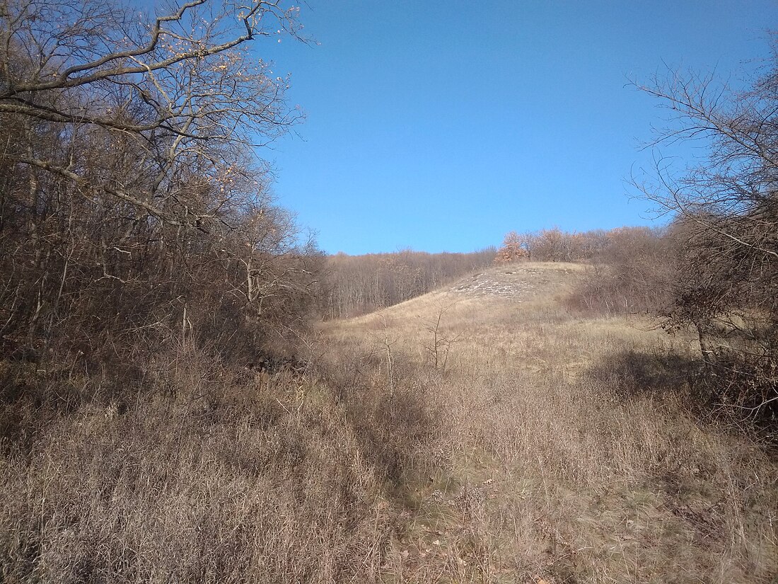 Старомихайлівський заказник