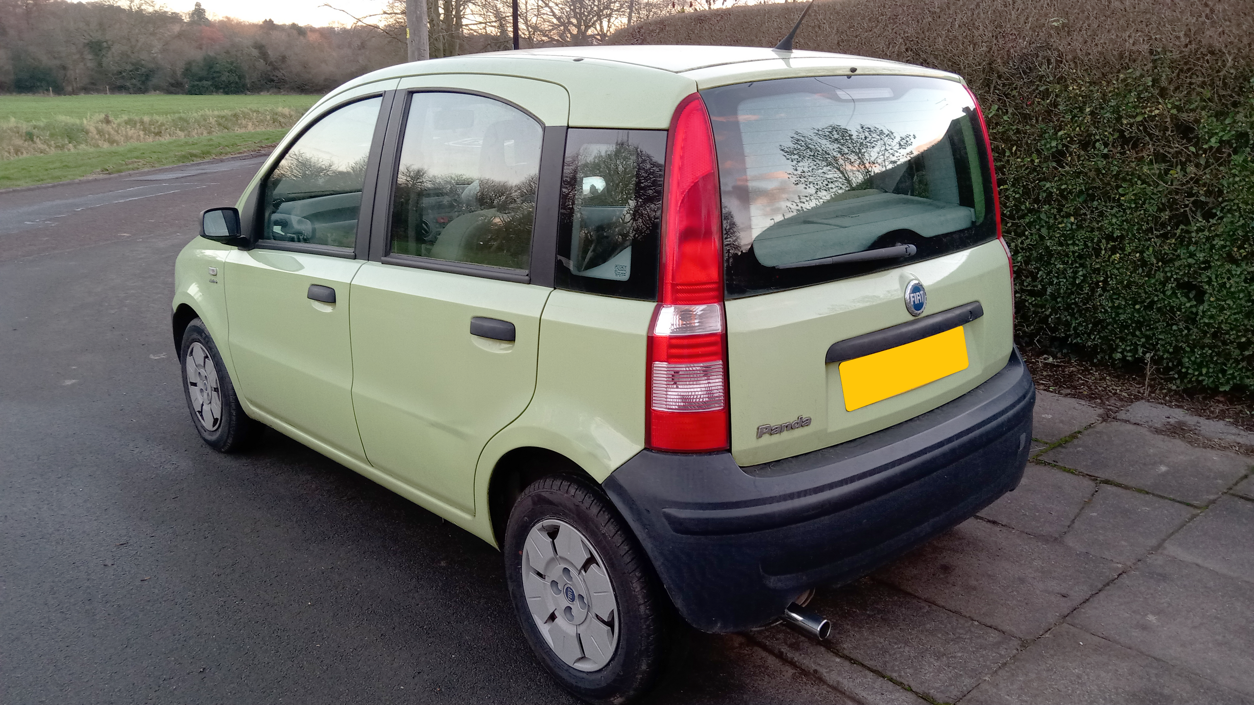 File:Fiat Panda Panda NP front.JPG - Wikimedia Commons