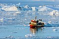 * Nomination Greenlandic trawler, Bingo III GR 2-122, dodging bergy bits, coming into ice choked Ilulissat Harbor. Greenland. --GRDN711 18:59, 21 July 2022 (UTC) * Decline The noise should be reduced. --Ermell 20:31, 21 July 2022 (UTC) Image noise has been reduced. --GRDN711 17:04, 23 July 2022 (UTC)  Oppose Lacks sharpness. Sorry. --Ermell 20:09, 29 July 2022 (UTC)