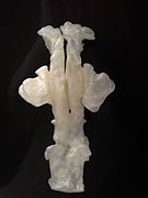 3D printed upper respiratory airways cast 132037.jpg