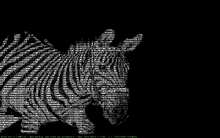 The AAlib demo program bb displaying a zebra AAlib-zebra.png