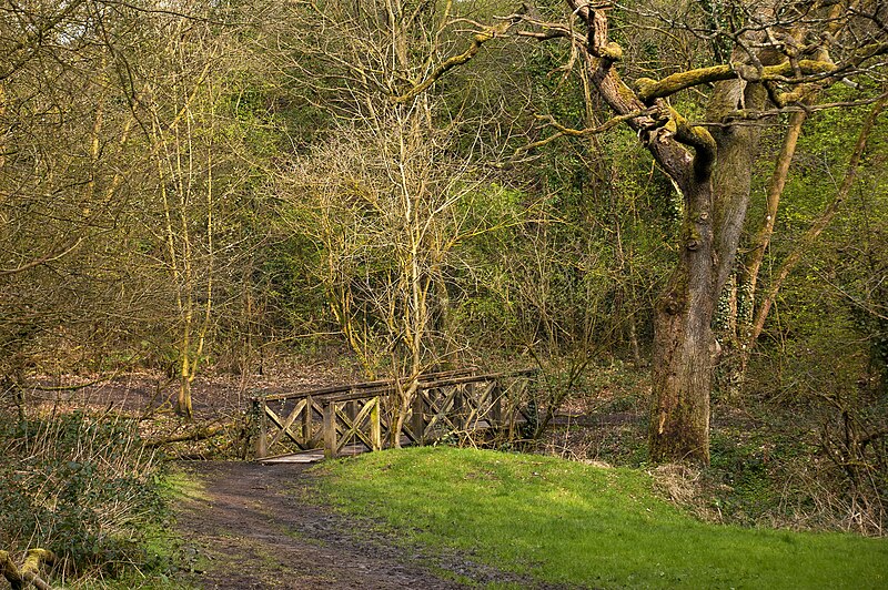 File:A footbridge in Mason's Wood (The Woodland Trust) - geograph.org.uk - 3906148.jpg