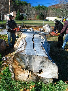 Chainsaw mill Type of sawmill incorporating a chainsaw