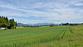 Alpen - Seegräben - Pfäffikersee - Rutschberg 2016-05-21 17-17-33.JPG