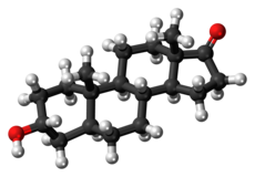 Androsterone-3D-balls.png