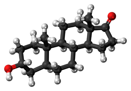 Ball-and-stick model of the androsterone molecule