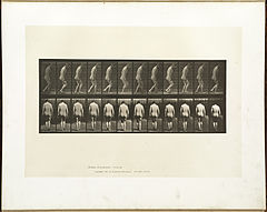 Animal locomotion. Plate 558 (Boston Public Library).jpg