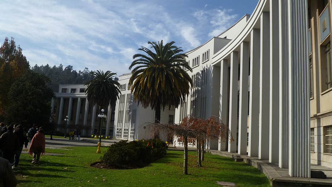 File:Arco de medicina Udec.JPG