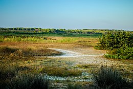 Palude Del Conte Protected Natural Area.jpg