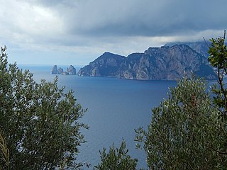 A view from Punta Campanella to the island Capri,