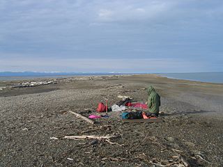 <span class="mw-page-title-main">Arey Island</span> Barrier island in Alaska, United States