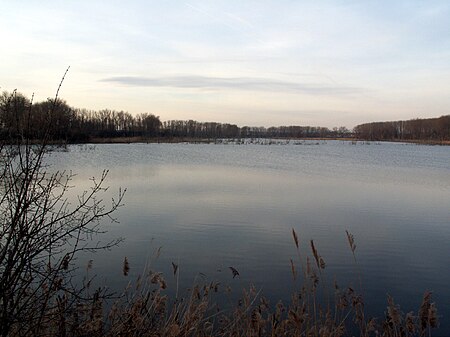 AschersleberSee1