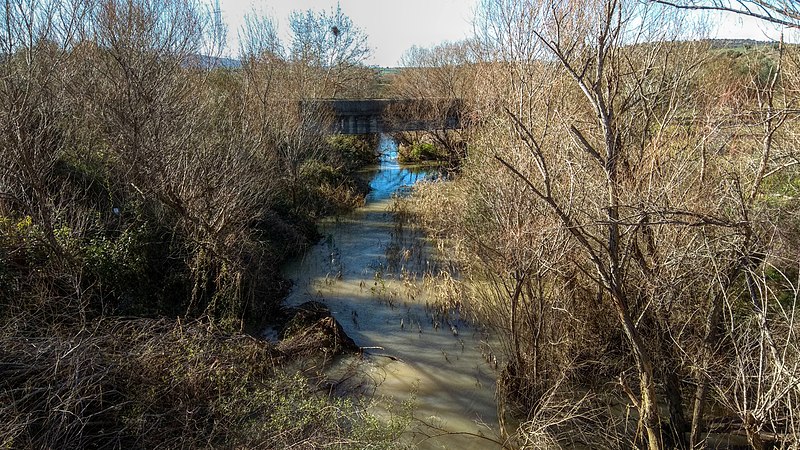 File:Asopos River at AgiosThomasTanagras.jpg