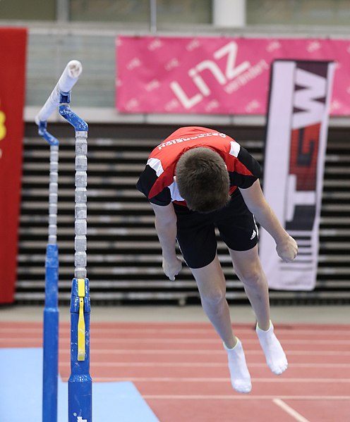 File:Austrian Future Cup 2018-11-23 Training Afternoon Parallel bars (Martin Rulsch) 0782.jpg