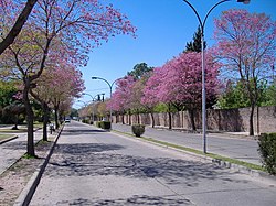 Avenida del Combate, San Lorenzo.jpg