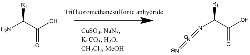 Addition of an azide to the N-terminal amino acid by Cu(II) catalyzed diazo transfer Azide addition to N-terminus of amino acid.png