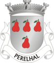 Vlag van Perelhal