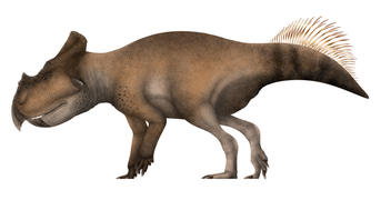 Life restoration of Bagaceratops