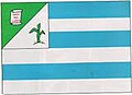 Bandeira de Coelho Neto