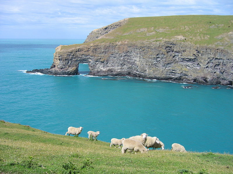 File:Banks Peninsula Track 1.JPG