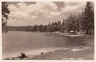 <span class="mw-page-title-main">The Pines Resort</span> The Pines Resort in Bass Lake is the only lakeside resort in the Yosemite area