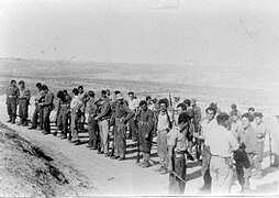 Члены Бригады Йифтах роты «Д» собрались в Беэри в 1948 году
