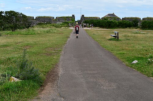 Berry Head (2021-07-28) 12.jpg