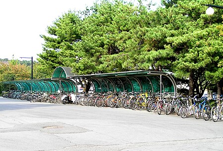 Tập_tin:Bicycle_parking_Dongguk_University.JPG
