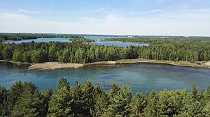 Insel im Senftenberger See nature reserve (May 2016)