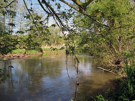 Blies bei Blieskastel 2012 05 08