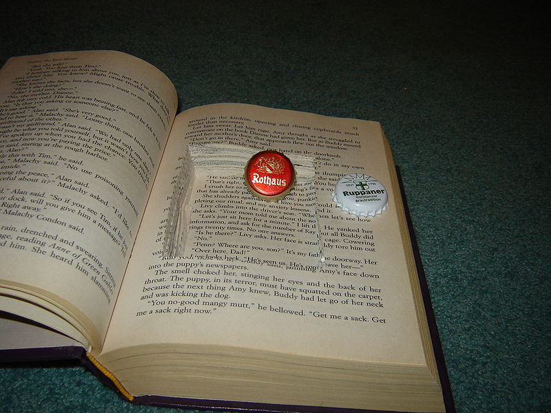 File:Booksafe.jpg