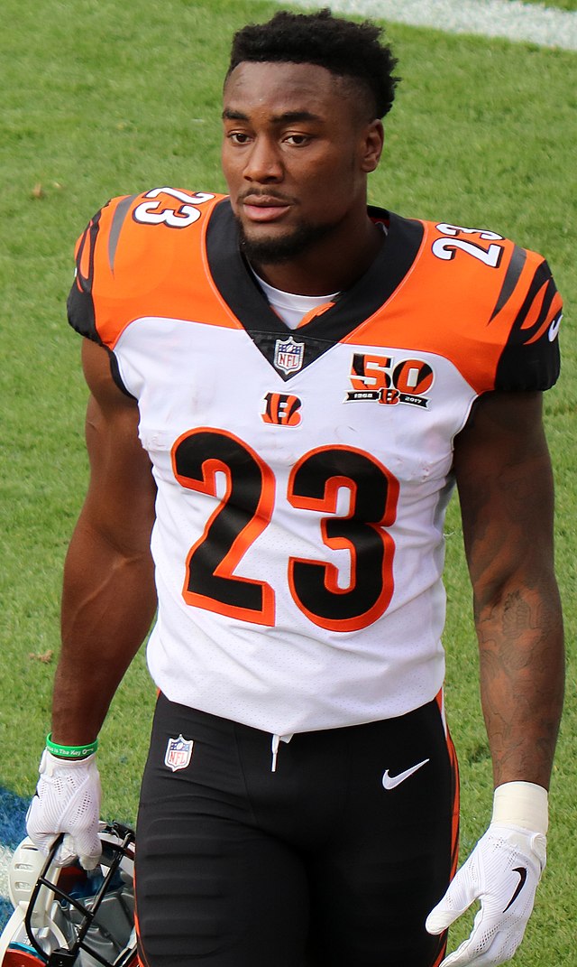 Cincinnati Bengals, American Football Wiki