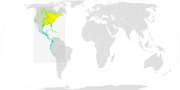 Broad-winged Hawk ebird data map.png