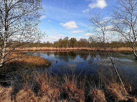 Brockzeteler Moor