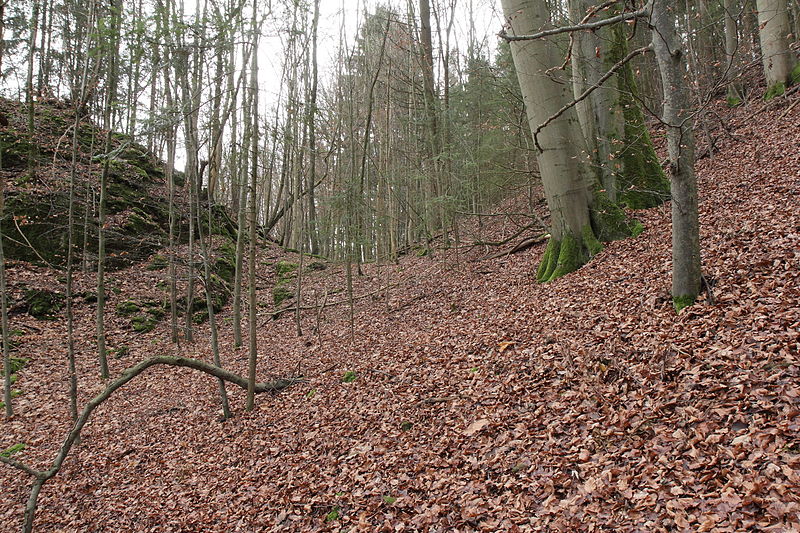 File:Burgstall Altes Schloss (Oberzaunsbach) 05.JPG