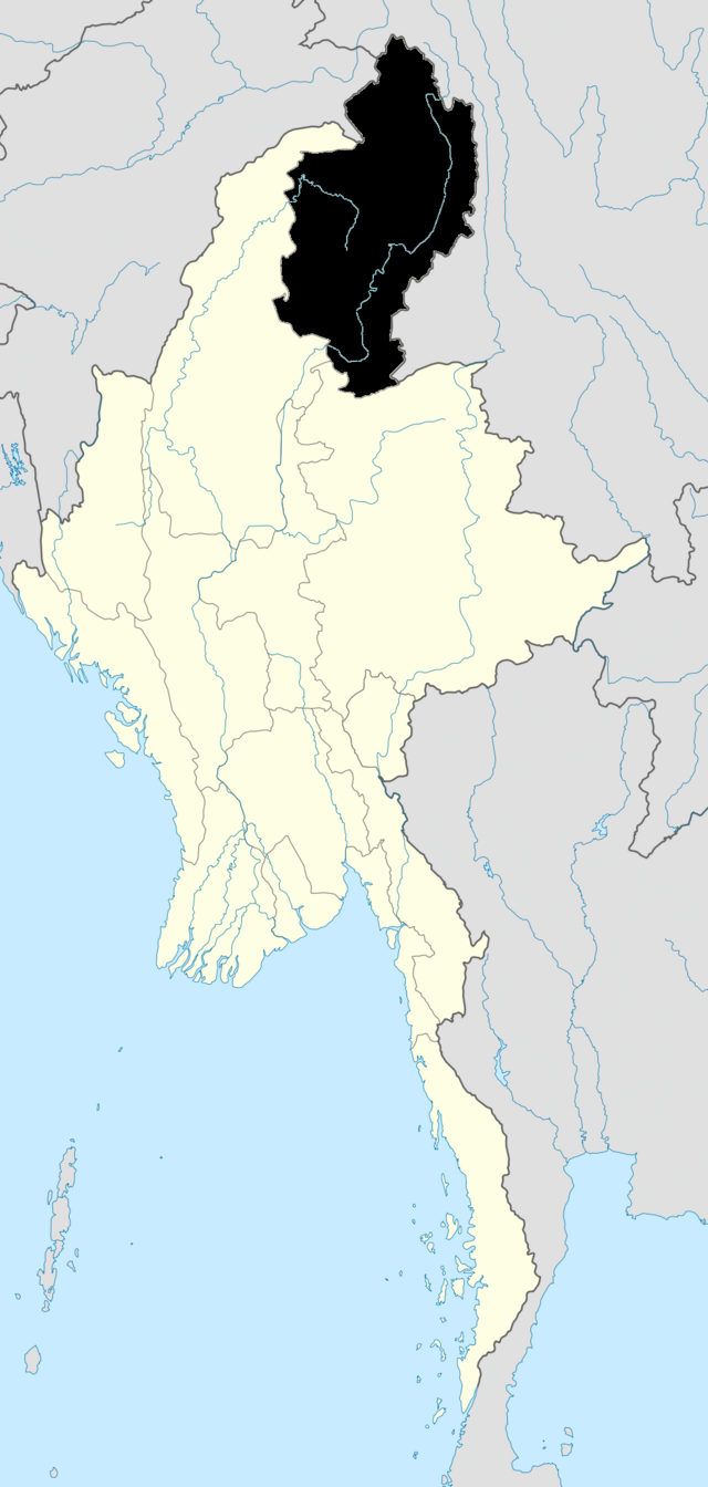 Myanmarese stompneusaap