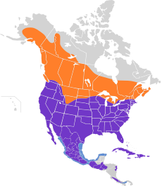 Buteo jamaicensis map.svg