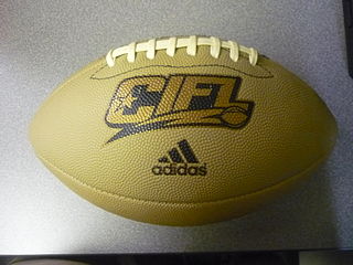 <span class="mw-page-title-main">2010 Continental Indoor Football League season</span> Sports season