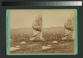 Cajun Valley. View of horse riders (NYPL b11707275-G89F333 001ZF).tiff