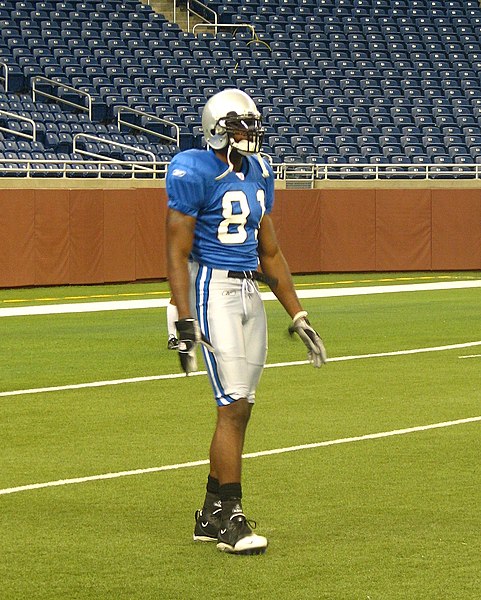 File:Calvin Johnson Lions.jpg