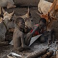 Campamento de ganado de la tribu Mundari, Terekeka, Sudán del Sur, 2024-01-28, DD 49